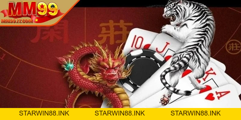 Cách Chơi Rồng Hổ Từ Cơ Bản Đến Nâng Cao Dành Cho Người Mới