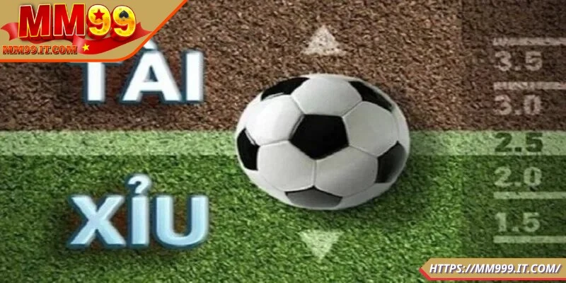 Cách Soi Kèo Bóng Đá Tài Xỉu Chuẩn Xác Từ Chuyên Gia