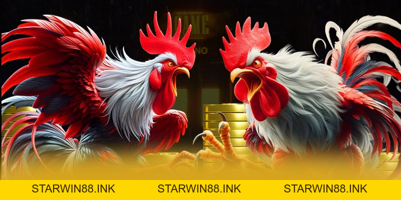FB88 - Cổng game bài đáng chơi nhất tại Việt Nam - starwin88.ink FB88 - Cổng game bài đáng chơi nhất tại Việt Nam - starwin88.ink