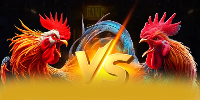 FB88 - Cổng game bài đáng chơi nhất tại Việt Nam - starwin88.ink FB88 - Cổng game bài đáng chơi nhất tại Việt Nam - starwin88.ink
