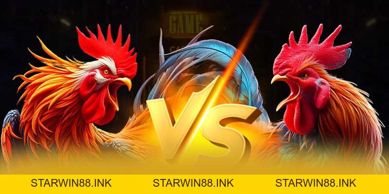 8XBET - Cổng game bài đáng chơi nhất hiện nay - starwin88.ink