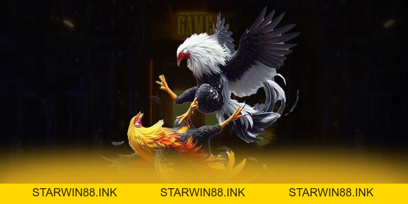 BET88 - Cổng trò chơi hàng đầu Việt Nam 2026 - starwin88.ink