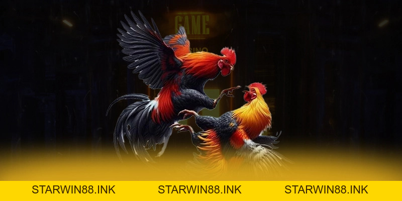 SUNWIN - Cổng giải trí uy tín số 1 trên thị trường - starwin88.ink SUNWIN - Cổng giải trí uy tín số 1 trên thị trường - starwin88.ink