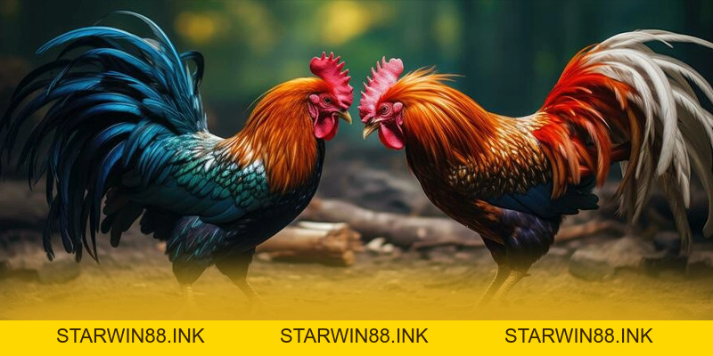 SUNWIN - Cổng giải trí uy tín số 1 trên thị trường - starwin88.ink SUNWIN - Cổng giải trí uy tín số 1 trên thị trường - starwin88.ink